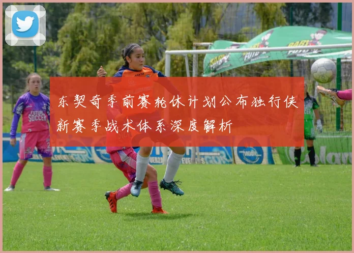 东契奇季前赛轮休计划公布独行侠新赛季战术体系深度解析