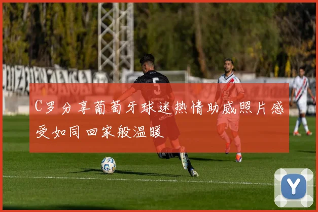 C罗分享葡萄牙球迷热情助威照片感受如同回家般温暖