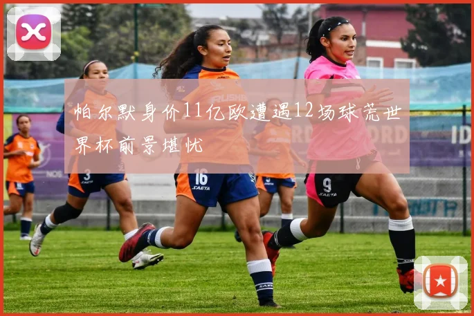 帕尔默身价11亿欧遭遇12场球荒世界杯前景堪忧