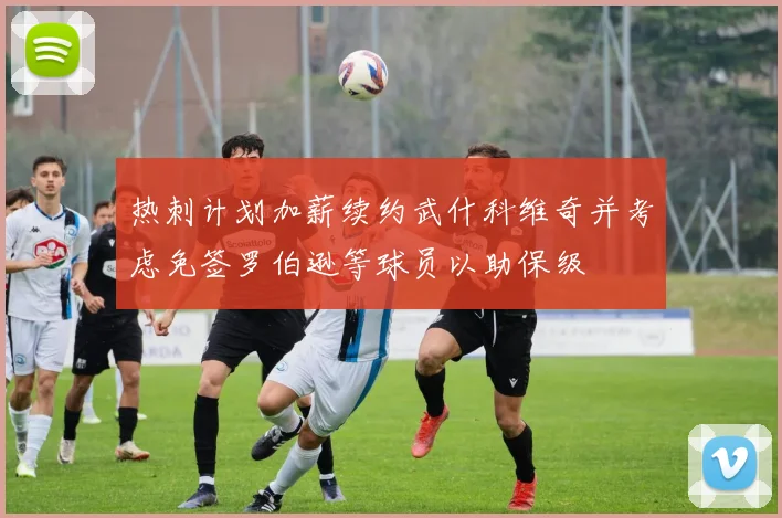 热刺计划加薪续约武什科维奇并考虑免签罗伯逊等球员以助保级